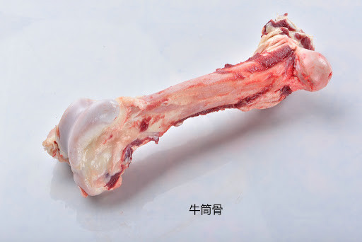 a-fresh-beef-tube-bone