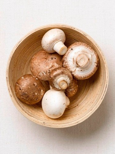fresh-coffee-mushrooms-boxed
