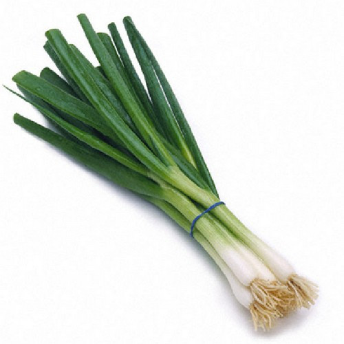one-green-onion