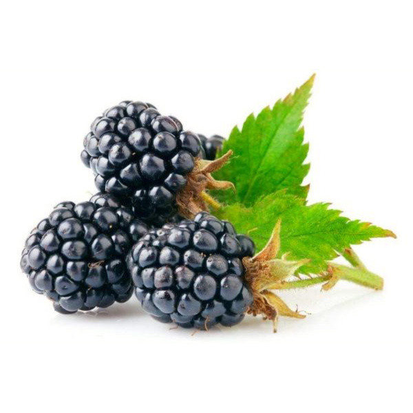 fresh-blackberry-boxed