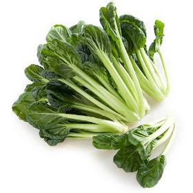 fresh-ta-choy